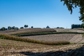 DSC_3856